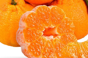 丑八怪可以放冰箱嗎？丑八怪怎么保存