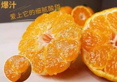 丑柑適合什么地方種植？丑柑上市時間