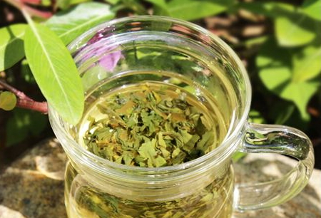 碧螺春什么時(shí)候上市 碧螺春的采摘時(shí)間 碧螺春什么時(shí)候上市 碧螺春的采摘時(shí)間