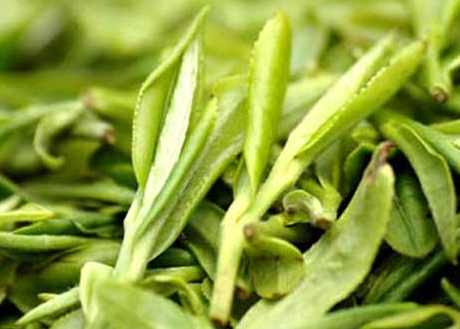 龍井什么時候喝最好 喝龍井的最佳季節(jié) 龍井什么時候喝最好 喝龍井的最佳季節(jié)