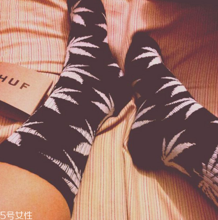 楓葉襪子是什么牌子？楓葉襪子品牌介紹