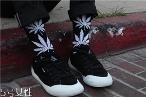 楓葉襪子是什么牌子？楓葉襪子品牌介紹