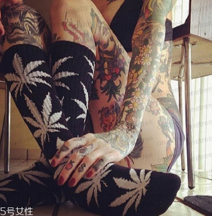 楓葉襪子正品多少錢？楓葉襪子價(jià)格詳情