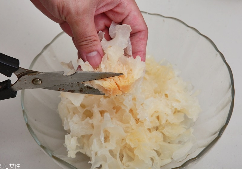 新鮮銀耳和干銀耳哪種好 干銀耳和新鮮銀耳有什么區(qū)別 新鮮銀耳和干銀耳哪種好 干銀耳和新鮮銀耳有什么區(qū)別