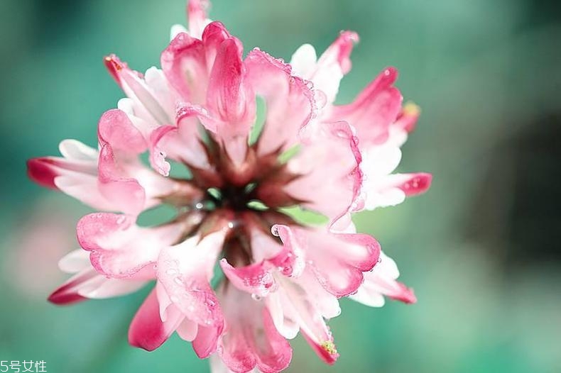 pola黑ba防曬搓泥嗎 pola黑ba防曬致痘原因 pola黑ba防曬搓泥嗎 pola黑ba防曬致痘原因