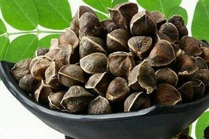 辣木籽哪里產(chǎn)的好？哪里的辣木籽最好？