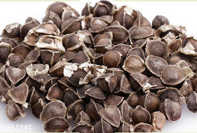 辣木籽哪里產(chǎn)的好？哪里的辣木籽最好？