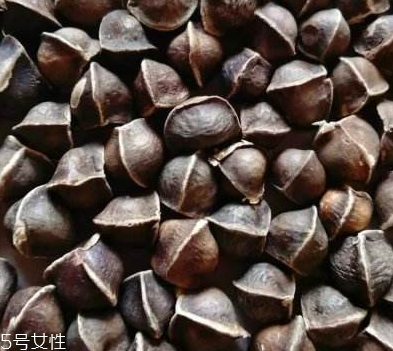 辣木籽哪里產(chǎn)的好？哪里的辣木籽最好？