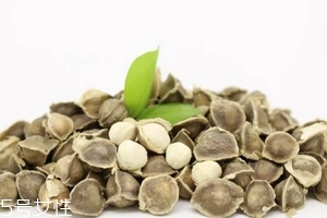 辣木籽是藥材嗎？辣木籽屬于什么？