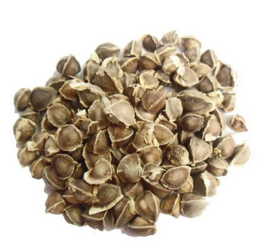 辣木籽是藥材嗎？辣木籽屬于什么？