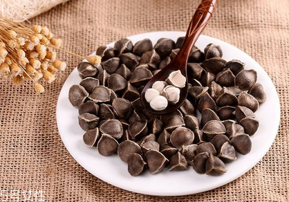 辣木籽是藥材嗎？辣木籽屬于什么？