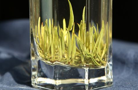 君山銀針多少錢(qián)一斤 君山銀針品牌推薦