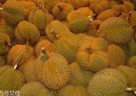 青尼榴蓮口感怎么樣 青尼榴蓮挑選技巧 青尼榴蓮口感怎么樣 青尼榴蓮挑選技巧