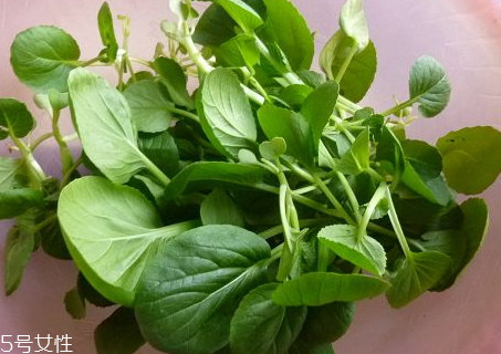 雞毛菜可以生吃嗎 雞毛菜為什么不宜生吃 雞毛菜可以生吃嗎 雞毛菜為什么不宜生吃