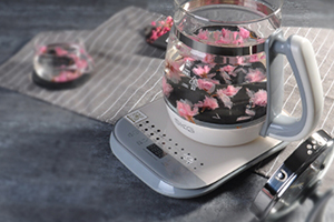 養(yǎng)生壺可以煮燕窩嗎？養(yǎng)生壺怎么煮燕窩