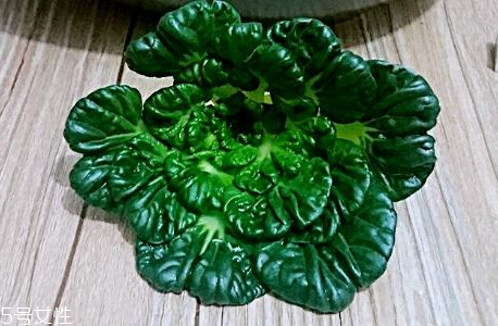 烏塌菜孕婦能吃嗎 烏塌宜忌人群 烏塌菜孕婦能吃嗎 烏塌宜忌人群