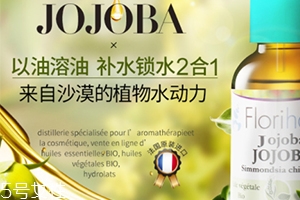 荷荷巴油和玫瑰果油哪個好？霍霍巴油和玫瑰果油對比