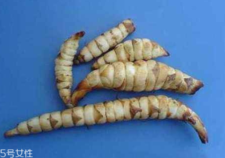 地筍怎么吃 地筍好吃嗎 地筍怎么吃 地筍好吃嗎