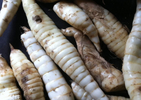 地筍價(jià)格一斤多少錢 地筍什么時(shí)候采摘 地筍價(jià)格一斤多少錢 地筍什么時(shí)候采摘