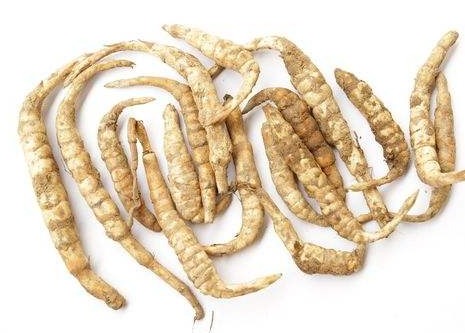 地筍價(jià)格一斤多少錢 地筍什么時(shí)候采摘 地筍價(jià)格一斤多少錢 地筍什么時(shí)候采摘