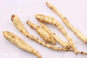 地筍價(jià)格一斤多少錢 地筍什么時(shí)候采摘 地筍價(jià)格一斤多少錢 地筍什么時(shí)候采摘