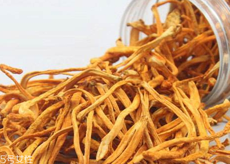 蟲(chóng)草花不能和什么一起吃 蟲(chóng)草花相克食物 蟲(chóng)草花不能和什么一起吃 蟲(chóng)草花相克食物