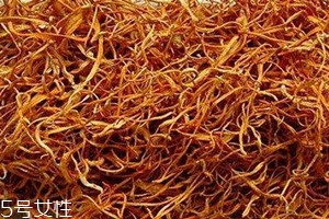 蟲(chóng)草花不能和什么一起吃 蟲(chóng)草花相克食物 蟲(chóng)草花不能和什么一起吃 蟲(chóng)草花相克食物