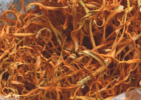 蟲草花吃多了會怎么樣 蟲草花可以天天吃嗎 蟲草花吃多了會怎么樣 蟲草花可以天天吃嗎