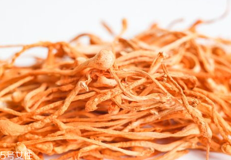 蟲草花一次吃多少 蟲草花泡茶用量 蟲草花一次吃多少 蟲草花泡茶用量