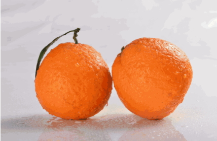 青見柑橘和丑橘的區(qū)別 青見柑橘和不知火哪個好吃 青見柑橘和丑橘的區(qū)別 青見柑橘和不知火哪個好吃