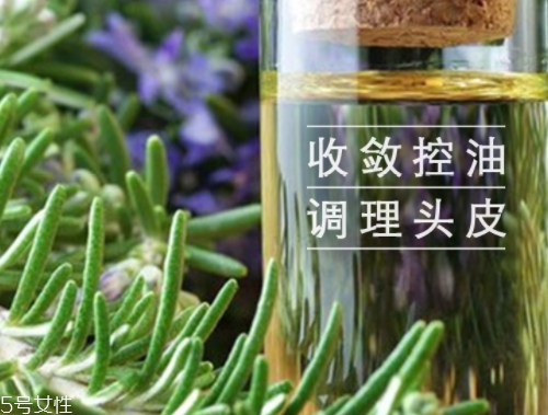 迷迭香精油怎么用？迷迭香精油使用注意事項(xiàng)
