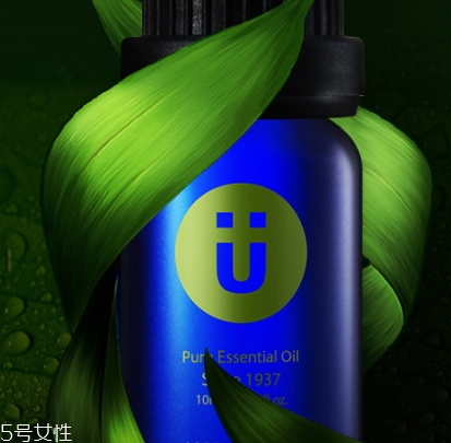 尤加利精油味道是什么？好聞嗎