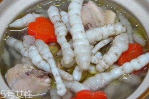 蟲草參多少錢一斤 蟲草參怎么選購 蟲草參多少錢一斤 蟲草參怎么選購