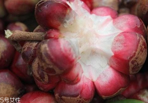 黑老虎果多少錢(qián)一斤 黑老虎果什么時(shí)候成熟