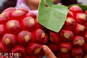 黑老虎果多少錢(qián)一斤 黑老虎果什么時(shí)候成熟