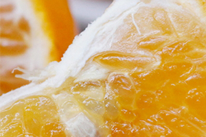 沃柑是橘子還是橙子？沃柑是熱性還是涼性