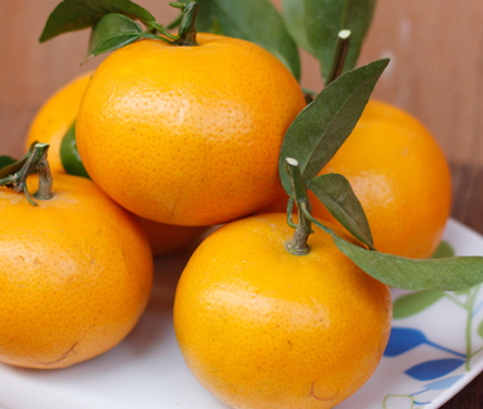 沃柑是橘子還是橙子？沃柑是熱性還是涼性