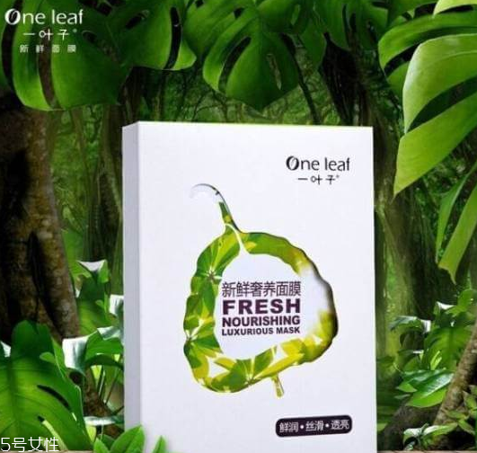 一葉子和膜法世家哪個好 一葉子和膜法世家區(qū)別 一葉子和膜法世家哪個好 一葉子和膜法世家區(qū)別