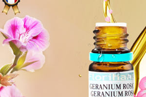 天竺葵精油可以擦臉嗎？天竺葵精油怎么擦臉