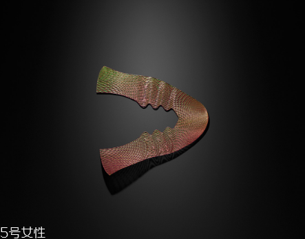 耐克3d打印跑步鞋怎么樣？nike zoom vaporfly elite flyprint評測