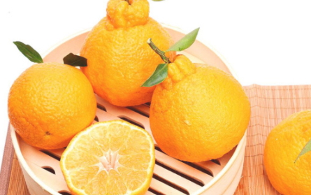 丑橘上火嗎？丑橘是上火還是下火