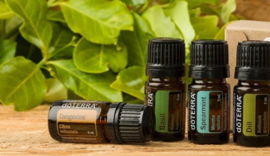 馬郁蘭精油的功效與作用 馬郁蘭精油的功效與作用