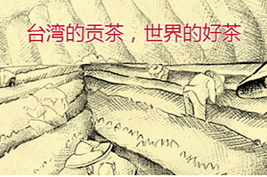 四云奶蓋貢茶哪個(gè)好喝？四云奶蓋貢茶點(diǎn)單攻略