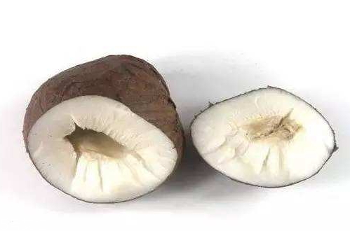 象牙果是什么東西 象牙果為什么叫象牙果 象牙果是什么東西 象牙果為什么叫象牙果