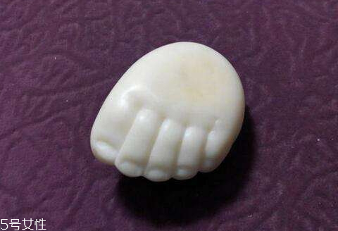 象牙果是什么東西 象牙果為什么叫象牙果 象牙果是什么東西 象牙果為什么叫象牙果