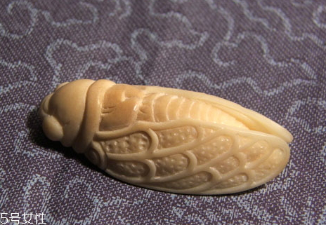 象牙果怎么看真假鑒別 象牙果怎么選購(gòu) 象牙果怎么看真假鑒別 象牙果怎么選購(gòu)