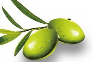 青欖孕婦可以吃嗎 產(chǎn)婦可以吃橄欖嗎 青欖孕婦可以吃嗎 產(chǎn)婦可以吃橄欖嗎