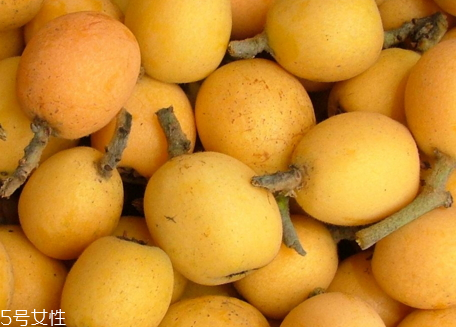 枇杷核能種嗎 枇杷核什么時(shí)候種 枇杷核能種嗎 枇杷核什么時(shí)候種