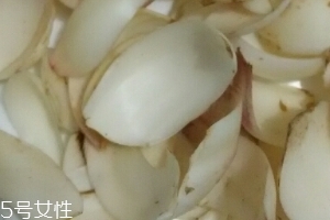 新鮮百合可以燉藕嗎？新鮮百合燉藕好吃嗎？