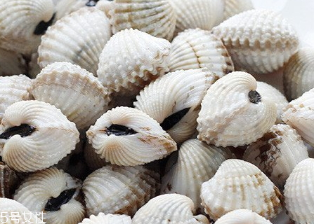 毛蚶不能和什么一起吃 毛蚶什么人不能吃 毛蚶不能和什么一起吃 毛蚶什么人不能吃